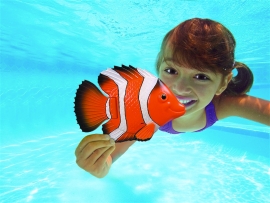 Rainbow Reef® Fish™ (each)