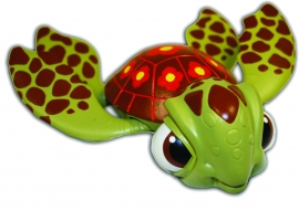 Rainbow Reef Turtle (each)