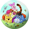 10” Winnie the Pooh Play Ball