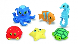 Splash Discovery Pak