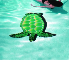 Large Sea Turtle