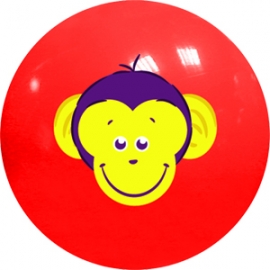 Zoo Play Balls